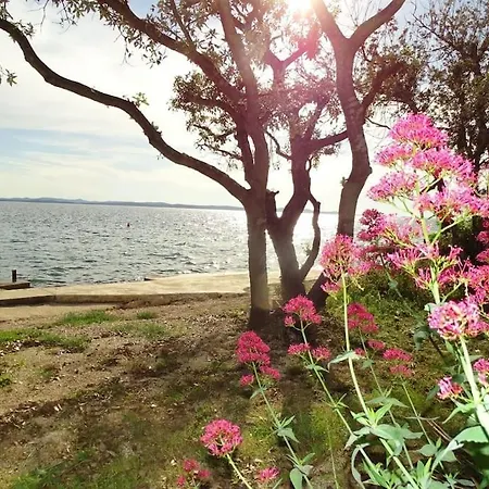 Apartman Lily Kožino