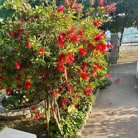 Apartman Lily Apartment *